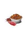 N and D Cat Quinoa Urinary Duck