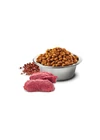 N and D Dog Quinoa Skin&amp;coat Venison