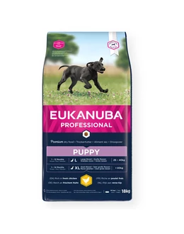 Eukanuba Puppy Large Breed