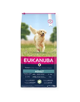 Eukanuba Adult Large Breed Bárány és Rizs