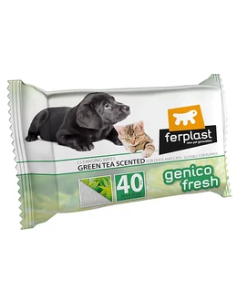 GENICO FRESH GEEN TEA Tisztító törlőkendő 40x