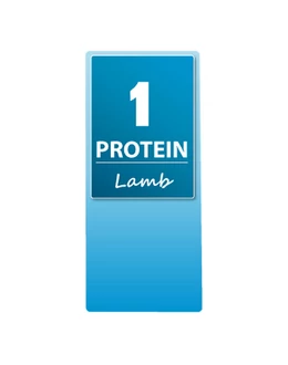 TROVET HYPOALLERGENIC LAMB (LRD) 3 kg