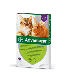 Advantage 80 (1 pipetta)