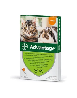 Advantage 40 (1 pipetta)