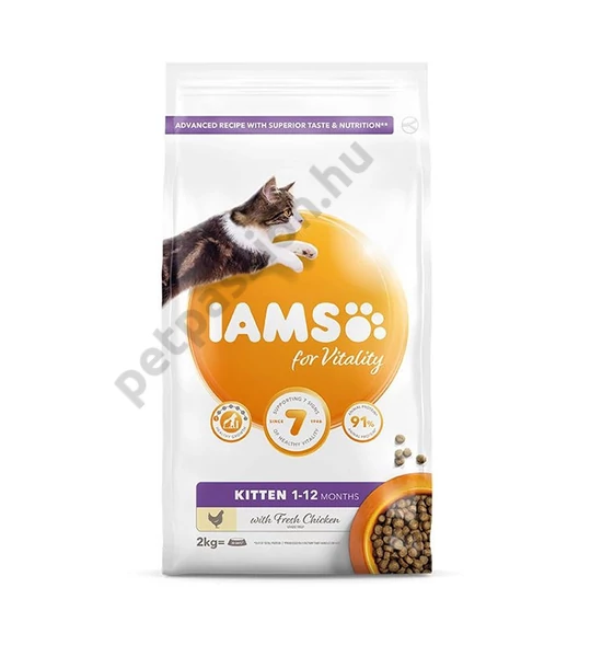 IAMS Cat Kitten Csirke