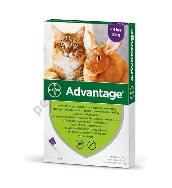 Advantage 80 (1 pipetta)