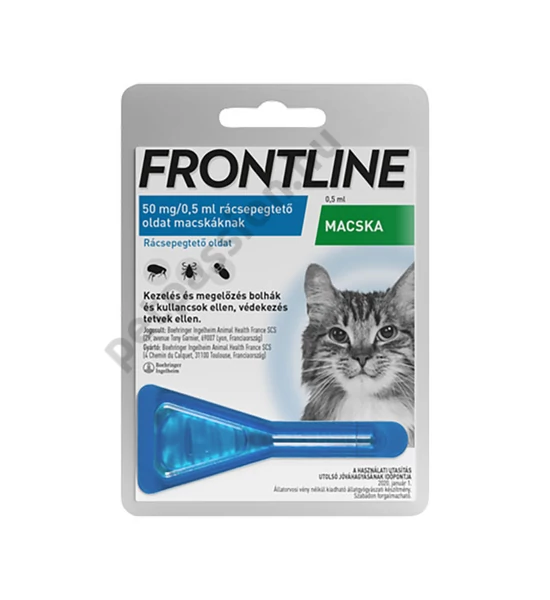 Frontline Macska